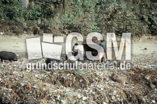 Nepal (53 von 124).jpg